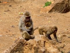 -昆明动物园