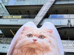 -福田卓悦INTOWN购物中心