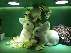 -彩福皇宴(皇室堡店)