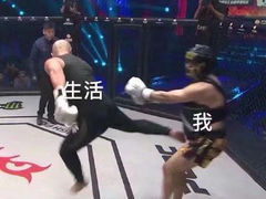-瑞派名望24h动物医院异宠专科·猫专科·骨科·重症监护分院
