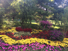 iphone_upload_pic-紫竹院公园冰场