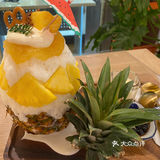 夏日分享| 三浮冰事🍧