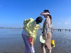 -奉贤海滩