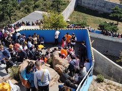 -西霞口神雕山野生动物世界