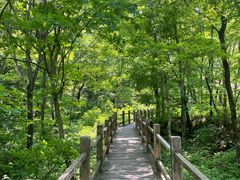 -本溪汤沟绿石谷森林公园