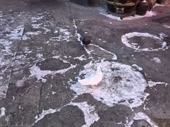 -鱼窝棚柴火铁锅炖(富山屯店)