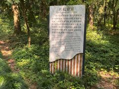 -大奇山国家森林公园