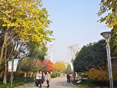 -杭州城北体育公园