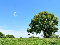 -良渚古城遗址公园