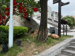 -荔湾湖公园