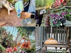 -正佳雨林生态植物园