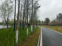-洋湖国家湿地公园