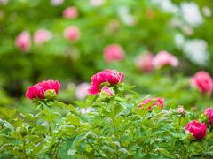 -江南大学(蠡湖校区)