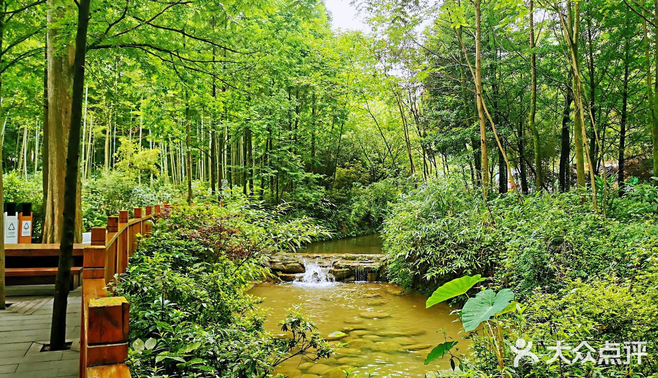 闯入熊猫🐼睡眠王国？[害羞]