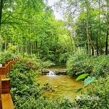 闯入熊猫🐼睡眠王国？[害羞]