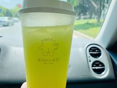 山泉油柑（绿屁屁）-茶力的小怪兽(梅林卓悦汇店)