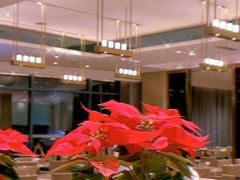 -广州天河合景福朋喜来登酒店