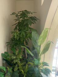 -不懂瑜伽·普拉提空间