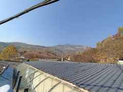 -鲁菜根·泰山菜(泰山店)