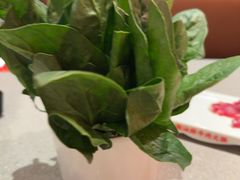 -八合里潮汕鲜牛肉火锅(广州五羊邨店)