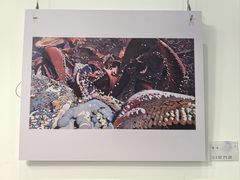 -中国宋庆龄青少年科技文化交流中心