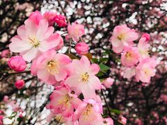 -上海市龙华烈士陵园