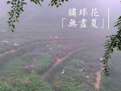 -鼓岭旅游度假区