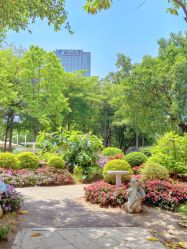 -广州市儿童公园