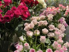 -循礼门鲜花花市(武汉循礼门店)