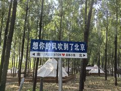 -森林小栈TreeStation露营基地