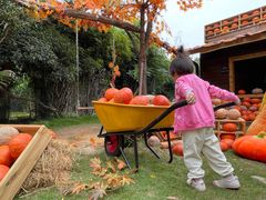 -HERRE·FARM 赫尔露营农场·团建聚会包场