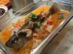 -佬肥猫(国华广场店)