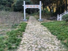 -龙寺生态园