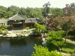 android_upload_pic-中国唐苑