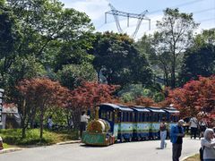 -广州市帽峰山景区