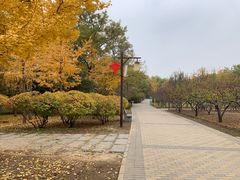 -古塔公园