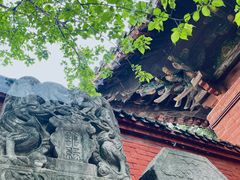 -洛阳白马寺