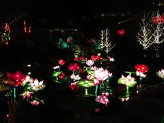 -西安华清御汤酒店