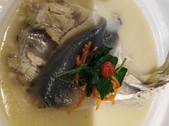 养颜白汁河豚-肆月河豚·新淮扬(金融街店)