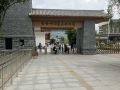 -青峰峡国家森林公园