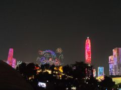 -莲花山公园
