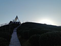 -龙坞茶村