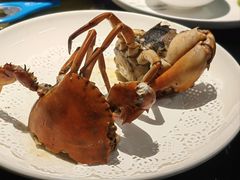 -鑫悦楼煎蟹·16年海鲜大排档