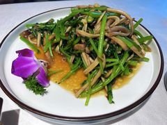 茶树菇炒茼蒿-蜀龙阁· 龍头水煮鱼(天坛店)