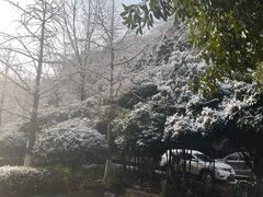 -云碧峰国家森林公园