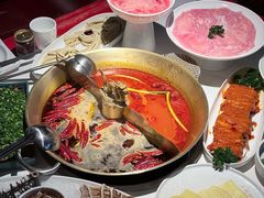 -小龙翻大江文化火锅(宽窄店)