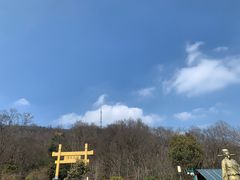 -南京老山国家森林公园