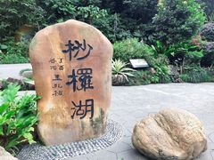 -深圳市中科院仙湖植物园