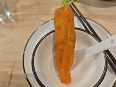 -丁老爷子苏香圆