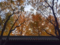 -月坛公园